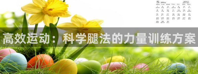 征途国际官网:高效运动:科学腿法的力量训练方案