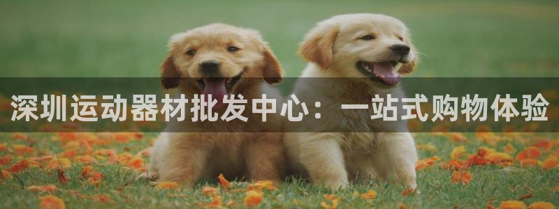 征途国际开户:深圳运动器材批发中心:一站式购物体验