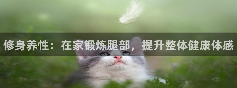 征途国际平台是正规平台吗:修身养性:在家锻炼腿部,提升整体健